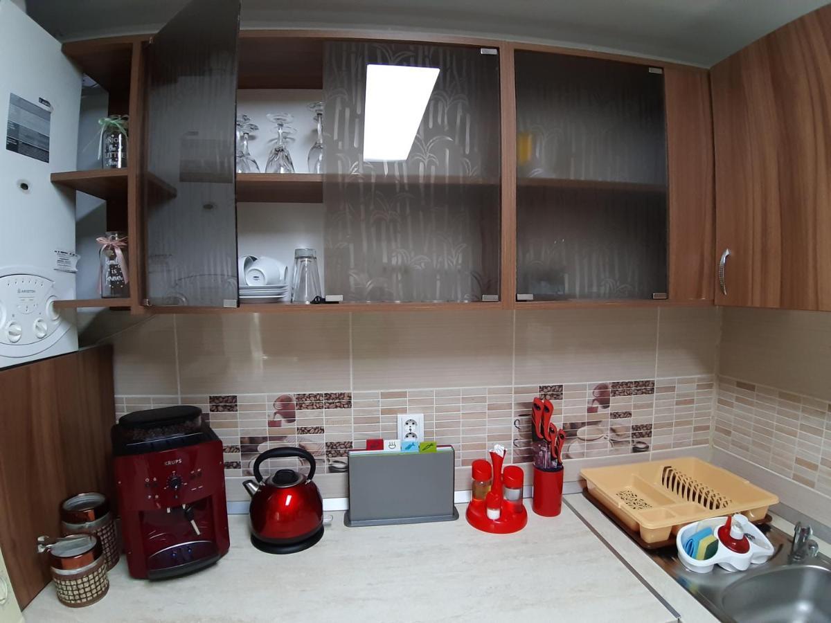 Apartament Dacia Târgu-Mureş エクステリア 写真