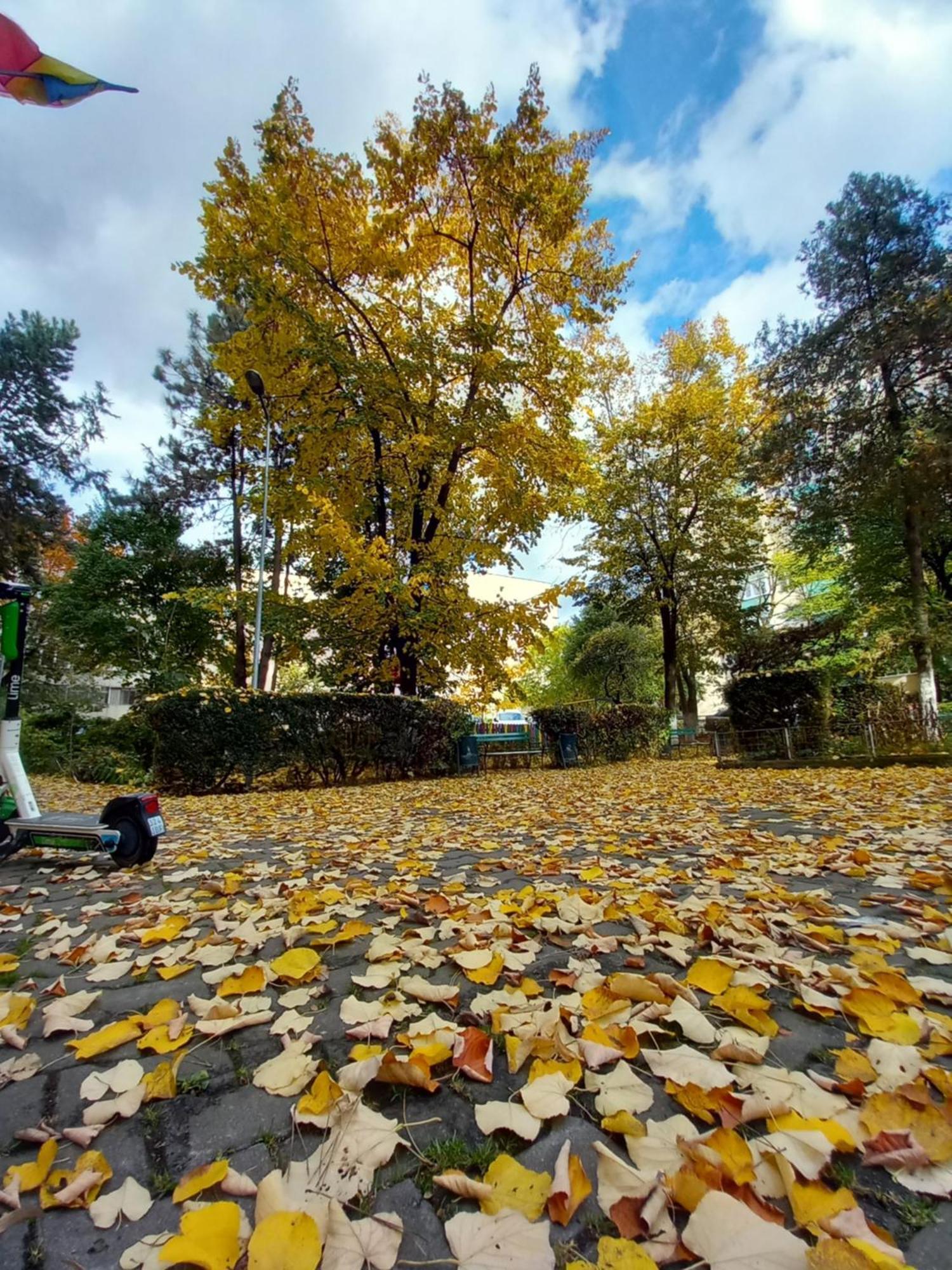 Apartament Dacia Târgu-Mureş エクステリア 写真